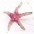 Diamond Starfish Brooch