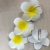Flower Style Hairpin 1pc